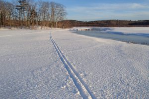 Cross country ski tracks along the Marsh Stream